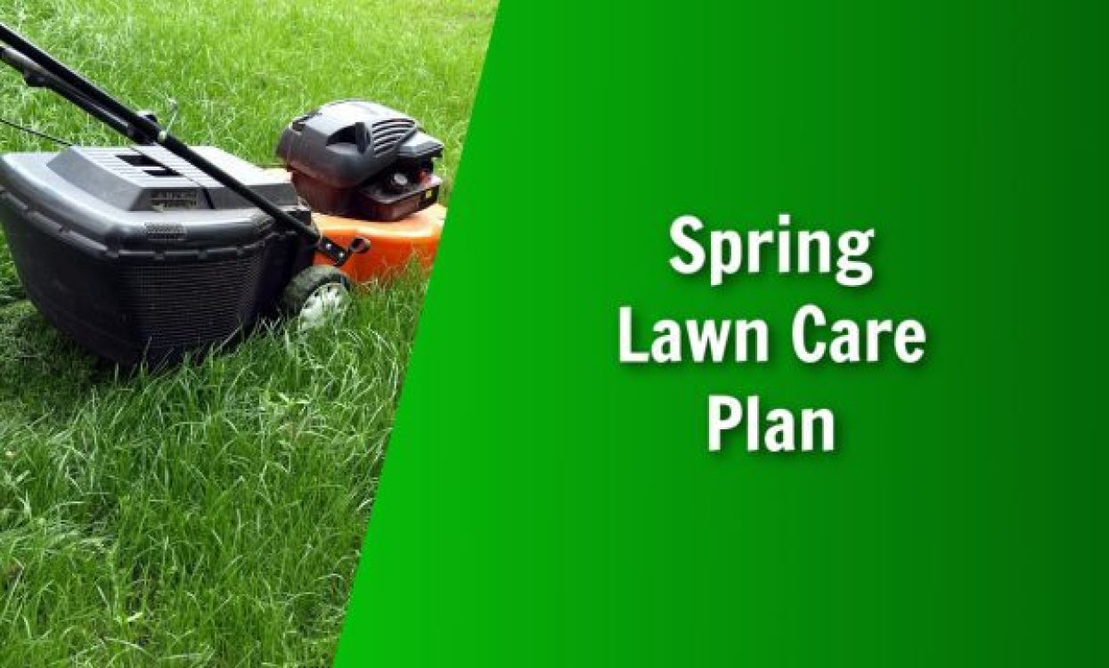 your spring lawn care plan