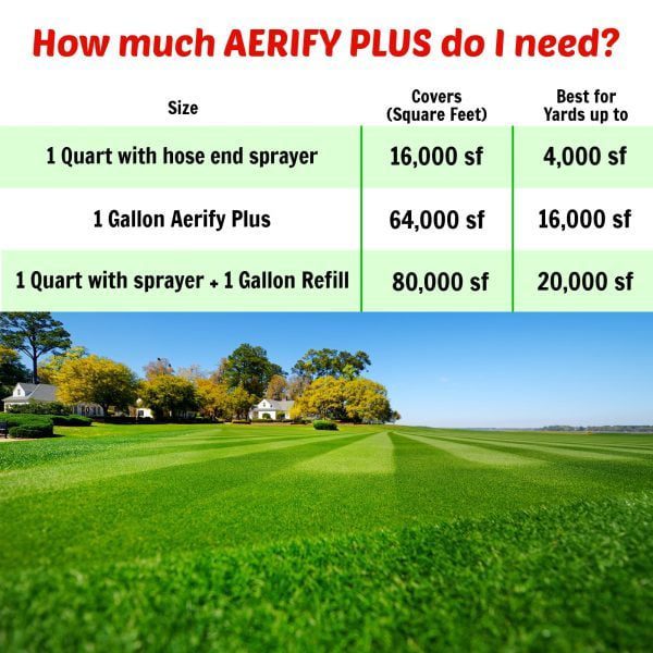 Aerify Plus Size Chart