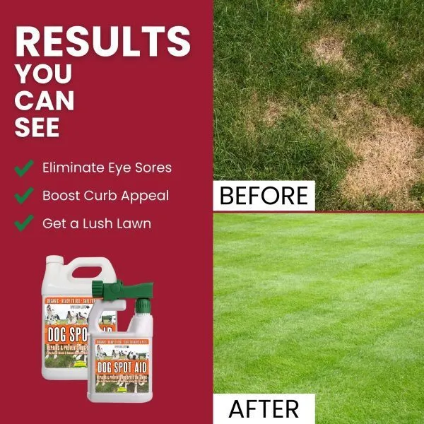 Benefits, Before & After - Spotless Lawn