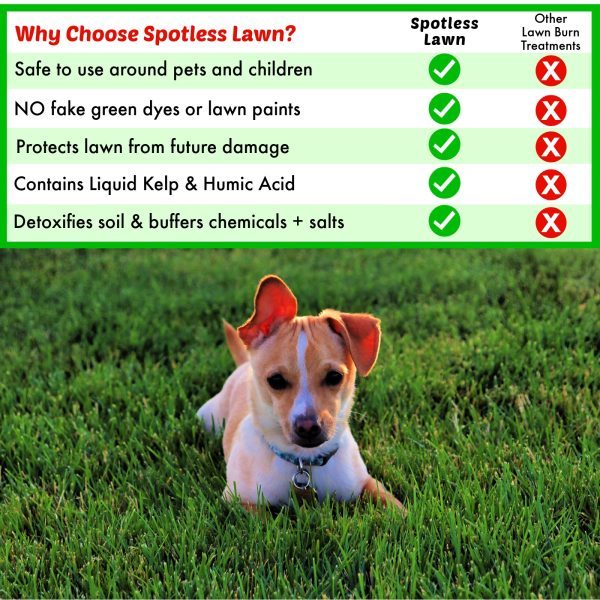 Comparison Spotless Lawn AMZN