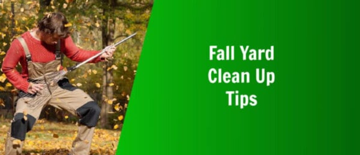 natures lawn and garden fall yard clean up tips