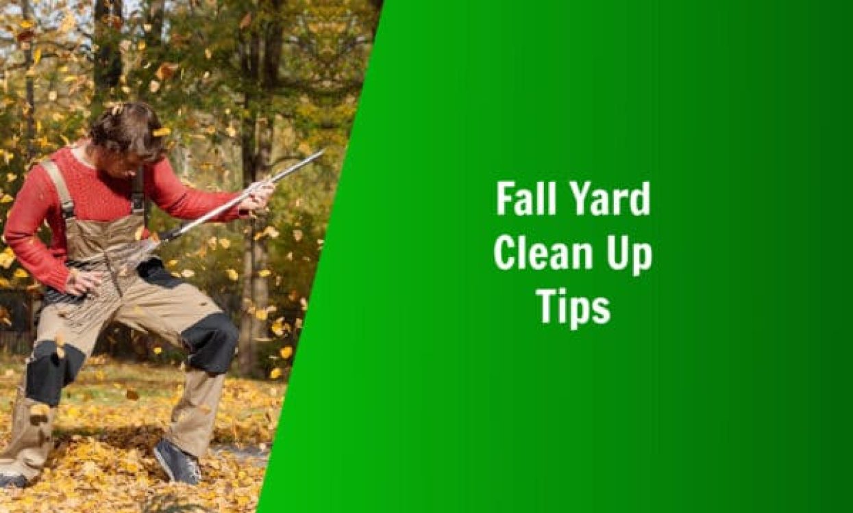 natures lawn and garden fall yard clean up tips
