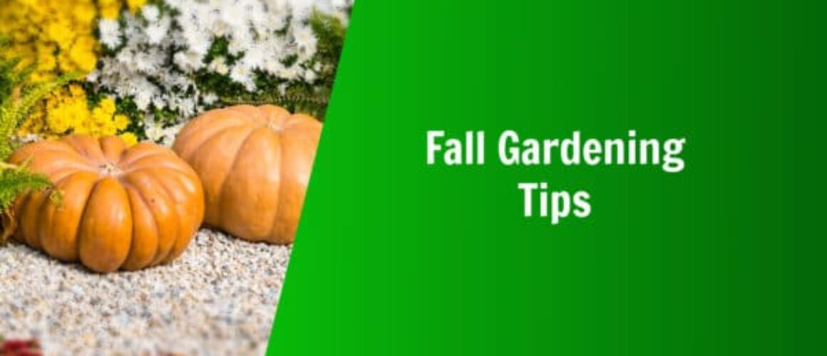 Nature's Lawn and Garden fall gardening tips