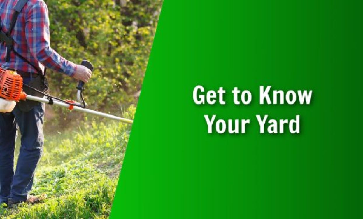 Get to know your yard