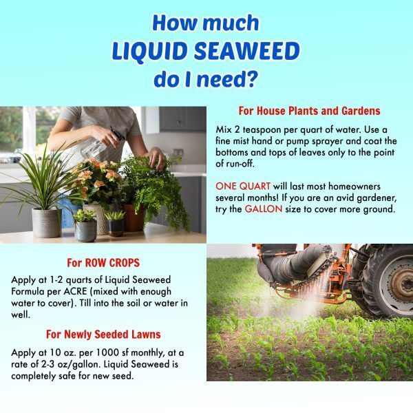 Nature's Lawn and Garden Liquid Seaweed how much do i need