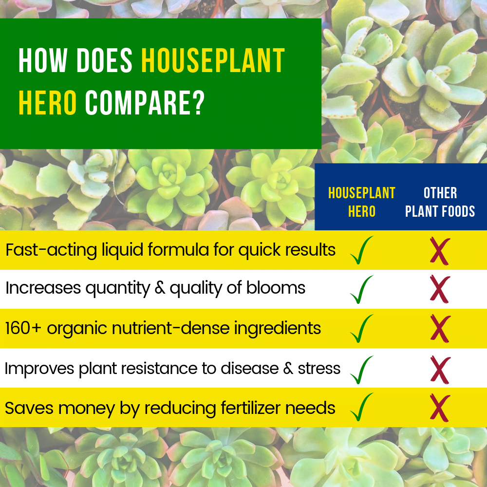 Houseplant Hero Comparison Chart 1000x1000