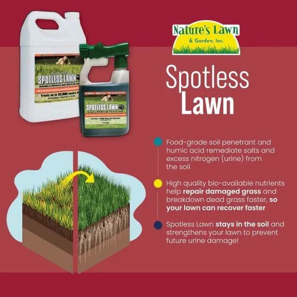 How It Works - Spotless Lawn