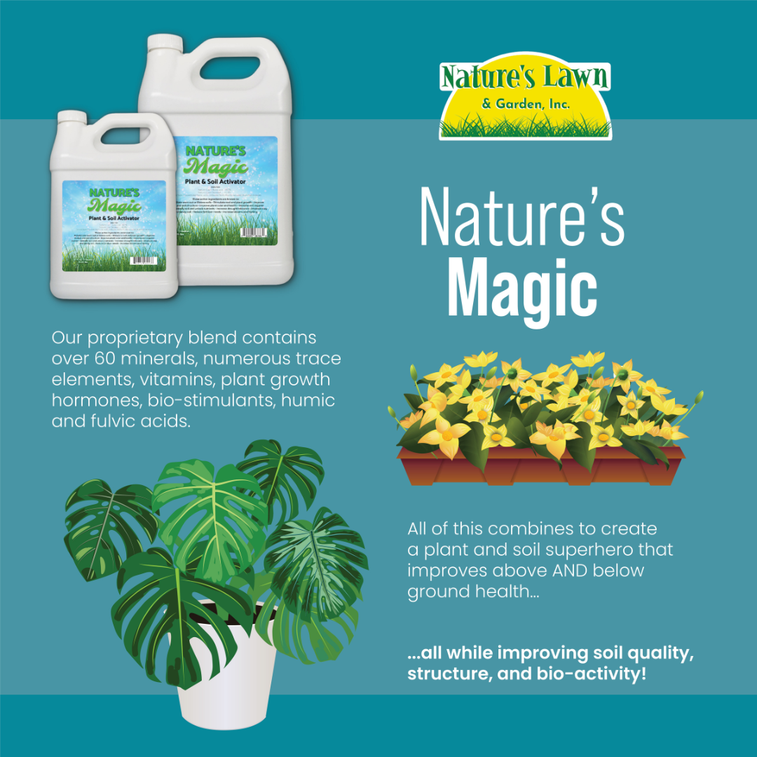 How it Works - Nature's Magic All Purpose Universal Plant and Soil Activator, Soil Conditioner - Natural Liquid Kelp and Humic Acid Blend - Non-Toxic, Pet-Safe