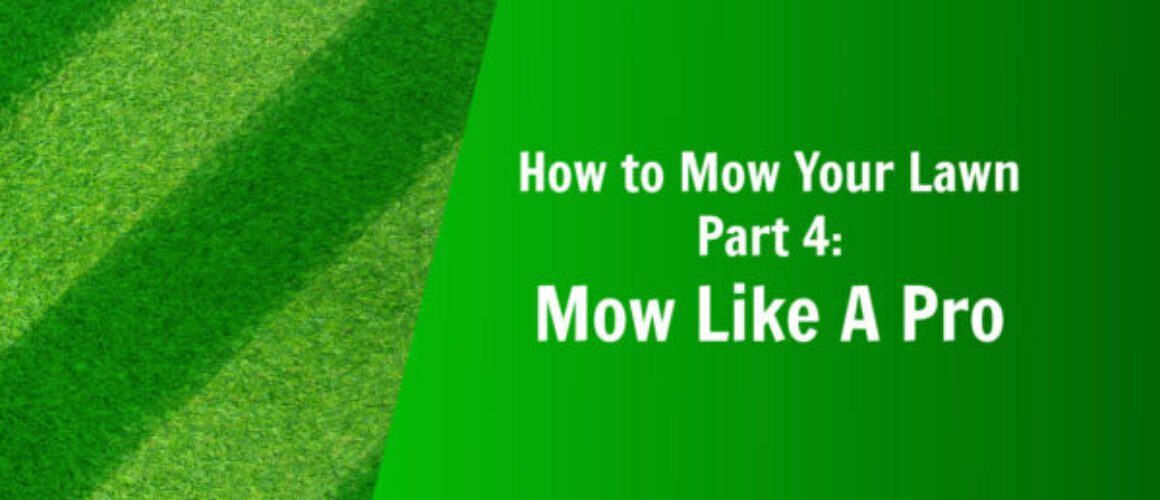 how to mow your lawn part 4 mow like a pro natures lawn and garden