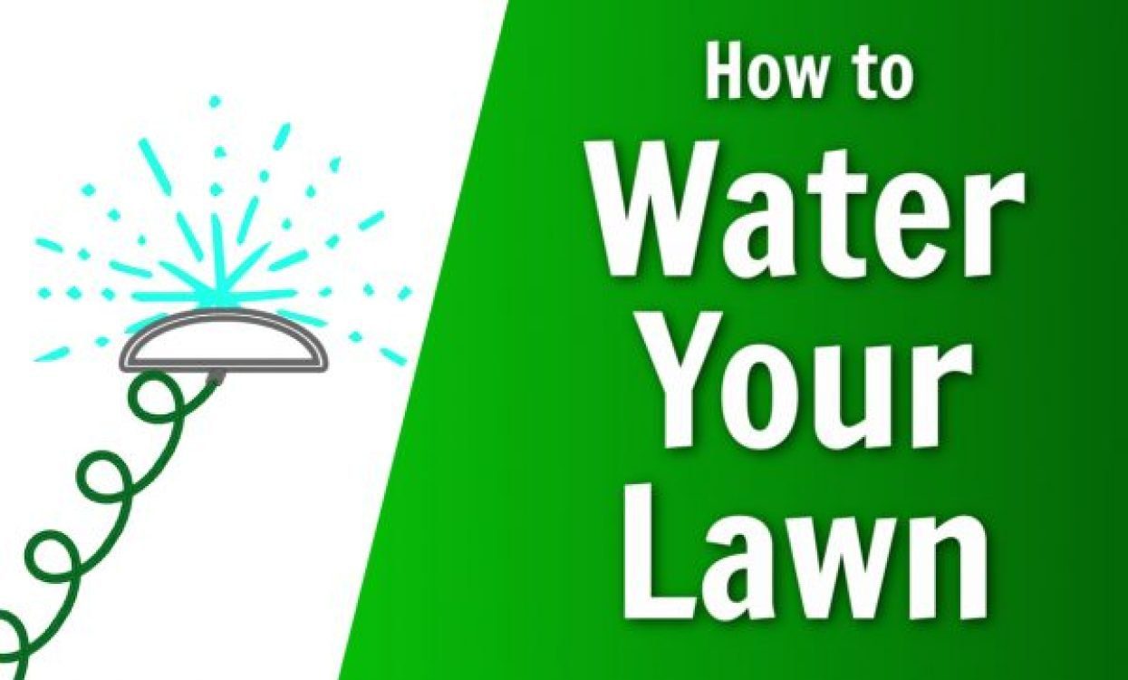 nature's lawn and garden how to water your lawn