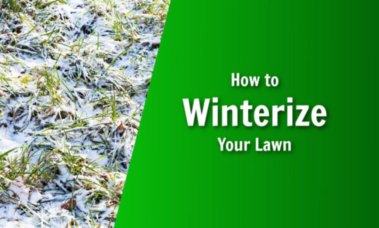 natures lawn and garden how to winterize your lawn