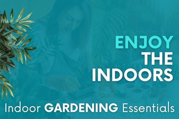 Indoor Gardening Essentials - Natures Lawn and Garden Must Haves