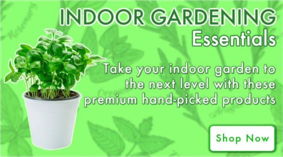 Indoor Gardening must-haves - Natures Lawn - Lawn, Garden and Indoor Products