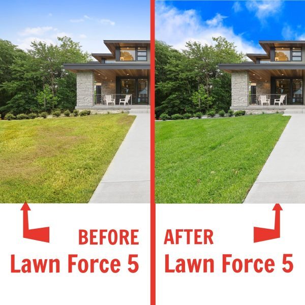 Nature's Lawn Lawn Force 5 before and after