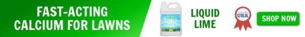 nature's lawn and garden liquid lime for lawn and garden