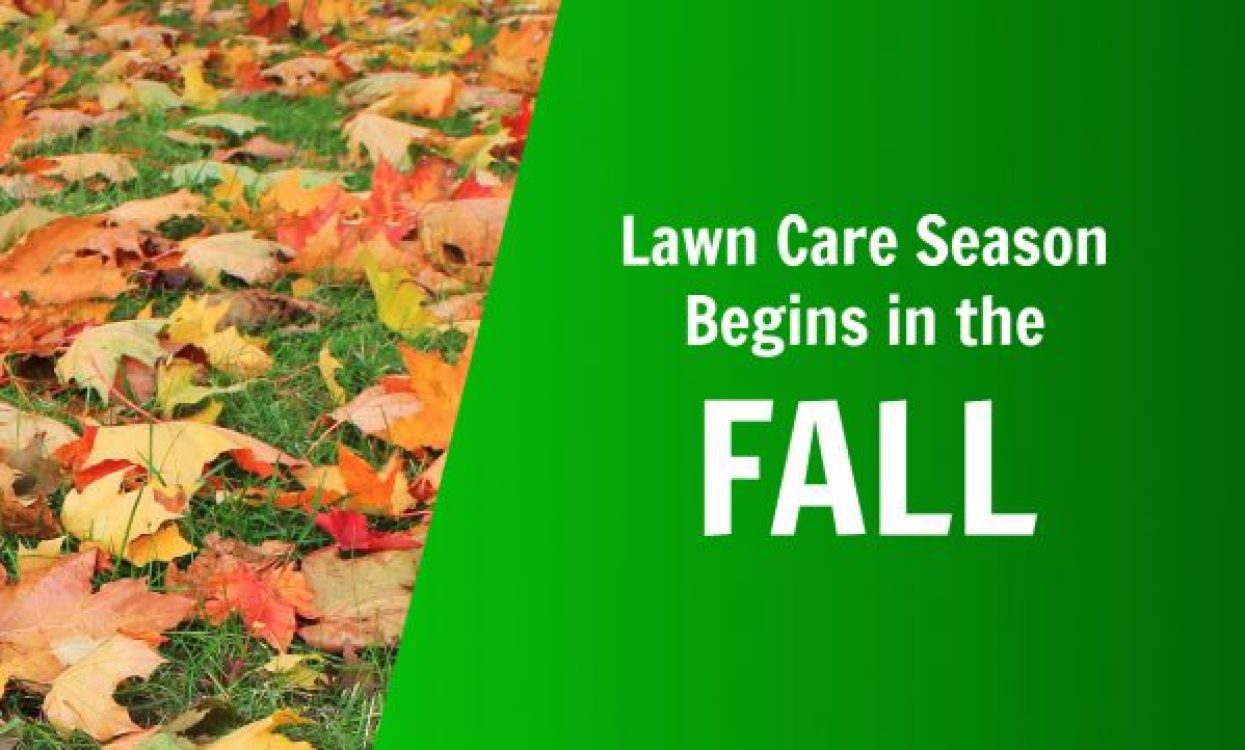 Lawn Care Fall