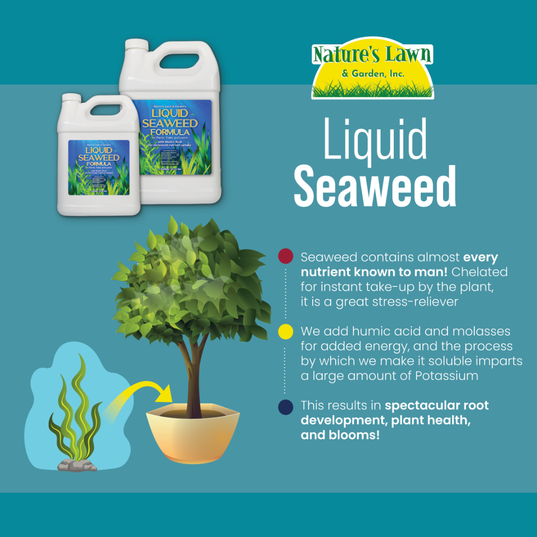 How it Works Liquid Seaweed - All Purpose Natural Kelp Plant Food with Humic and Fulvic acids - For Indoor/Outdoor Use - Organic