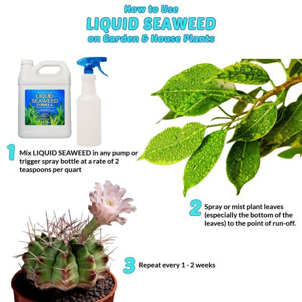 Nature's Lawn and Garden Liquid Seaweed how to use