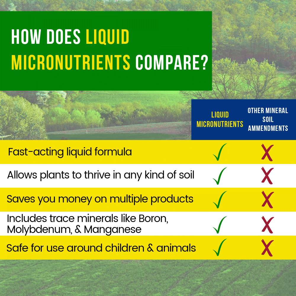 Micronutrients comparison chart 1000x1000