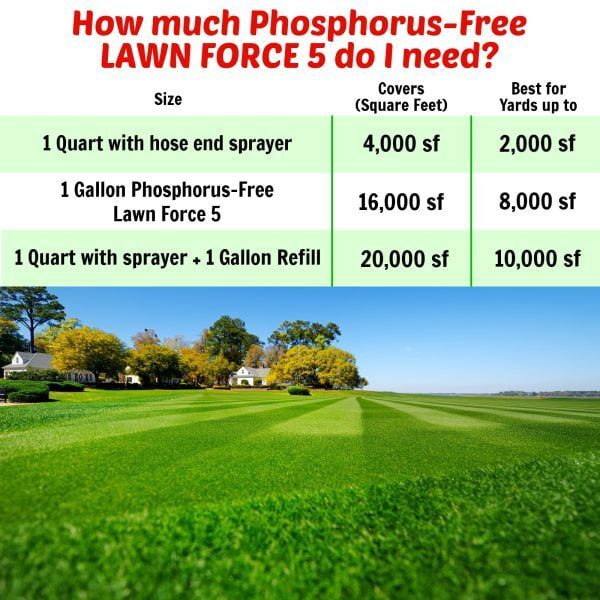 Nature's Lawn and Garden Phosphorus Free Lawn Force 5 how much do i need