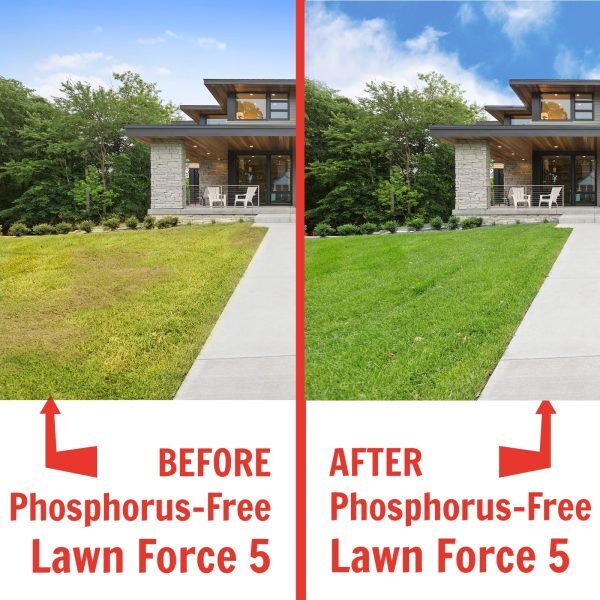 Nature's Lawn and Garden Phosphorus Free Lawn Force 5 before and after