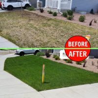 Nature's Lawn products before and after quickpro