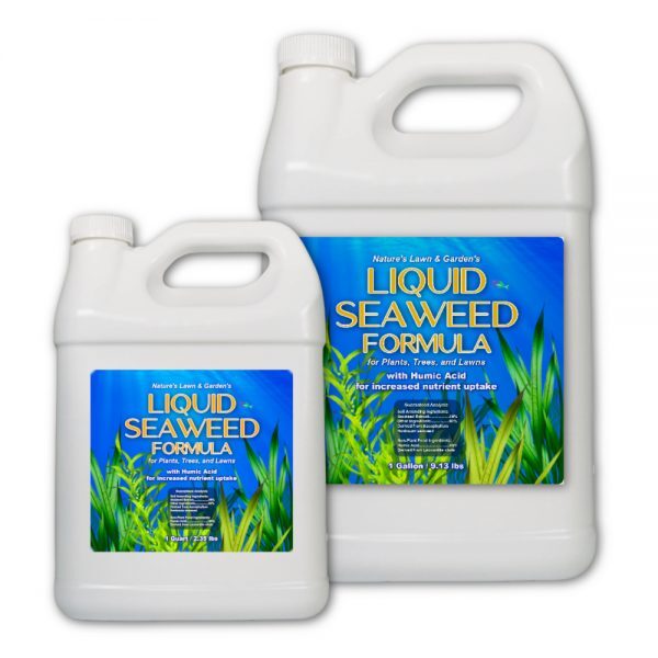 Organic Liquid Seaweed All Purpose Natural Kelp Plant Food with Humic & Fulvic Acids For Indoor/Outdoor Use - Nature's Lawn & Garden
