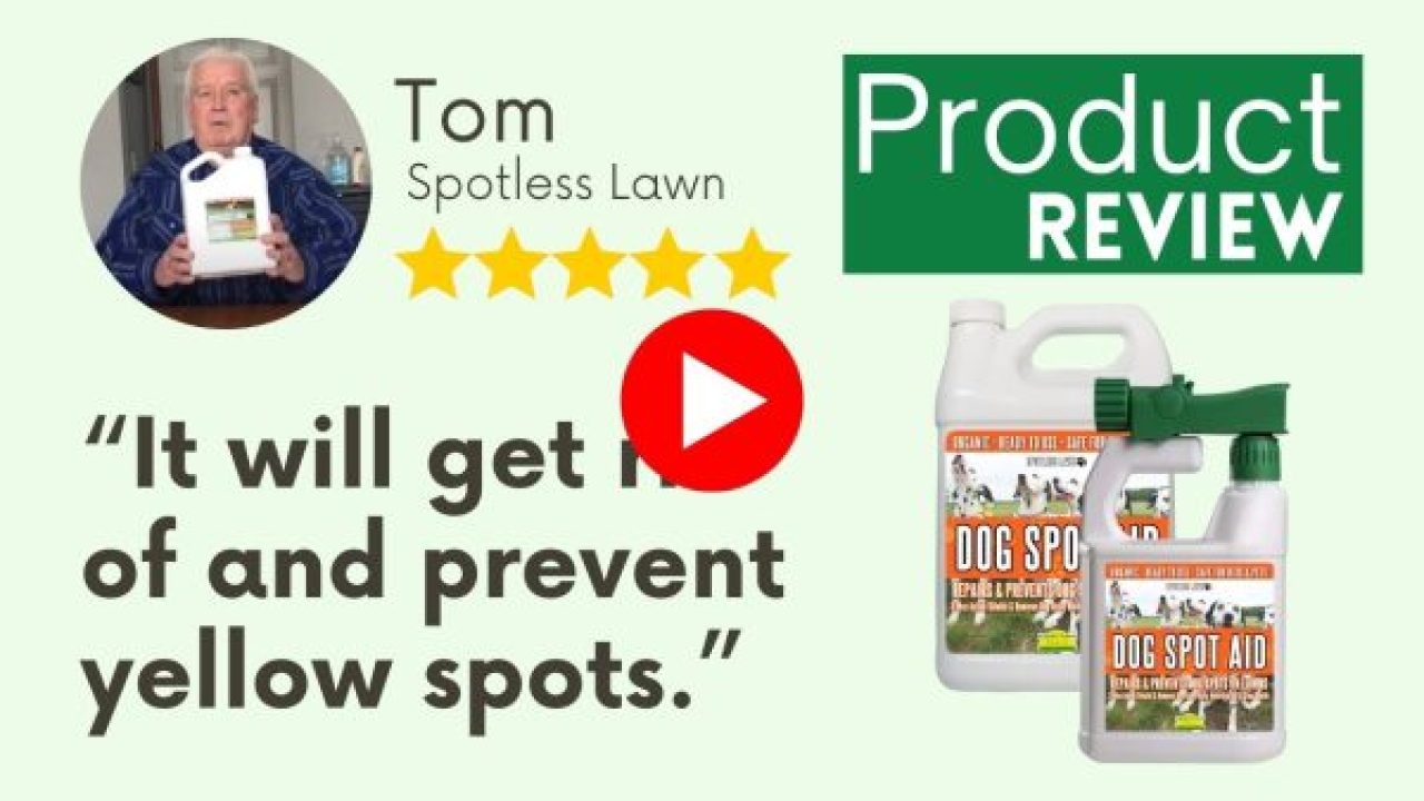 Spotless Lawn Review - Tom - Video Review - Nature's Lawn and Garden