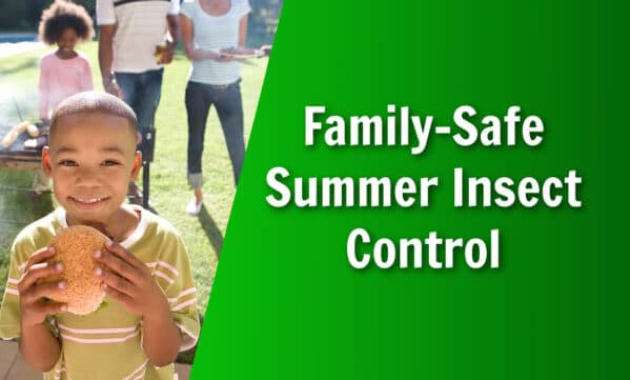 Nature's Lawn and Garden family safe all natural summer insect control