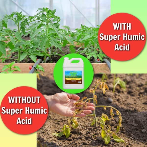 Super Humic Acid with and without