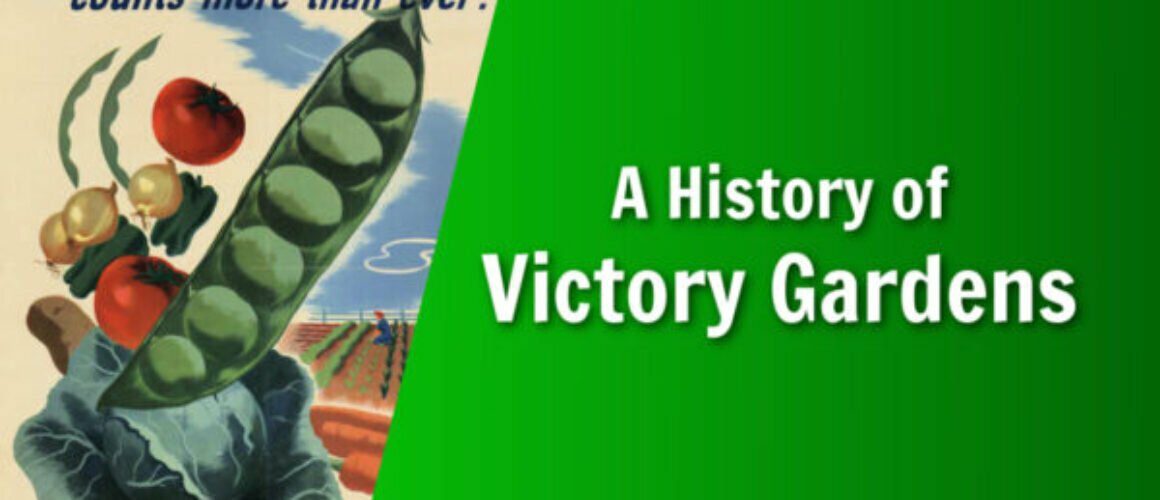 natures lawn and garden a history of victory gardens