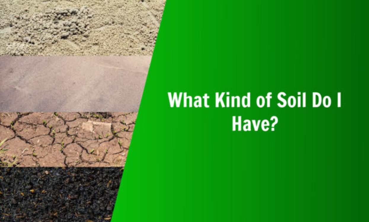 nature's lawn and garden what kind of soil do I have