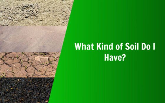 nature's lawn and garden what kind of soil do I have