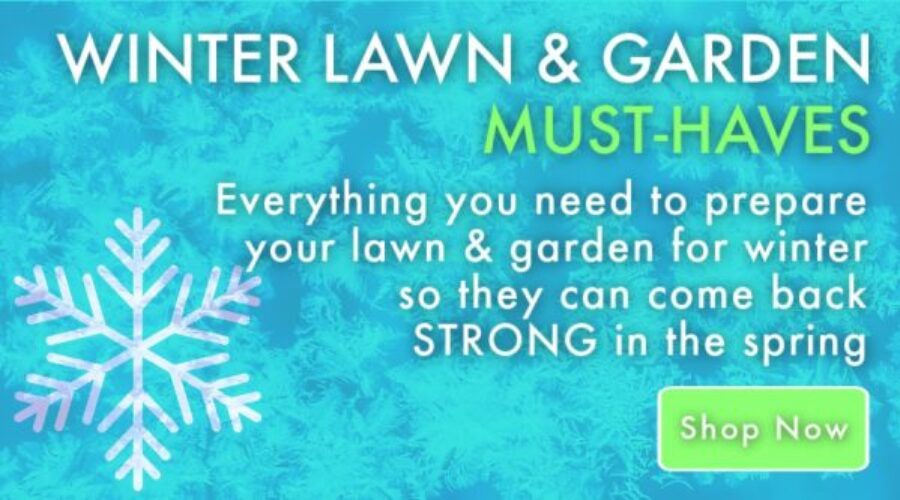 nature's lawn and garden Winter Lawn care Must Haves - Featured Call Out - Natures Lawn - Lawncare and Indoor Gardening Products