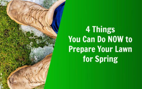 4 things you can do now to prepare your lawn for spring
