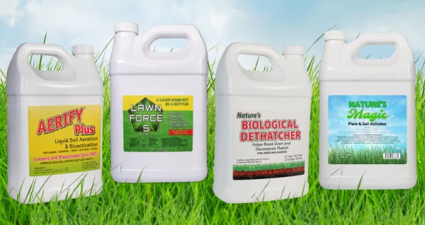 best fall lawn care tips best lawn care products for fall natures lawn and garden
