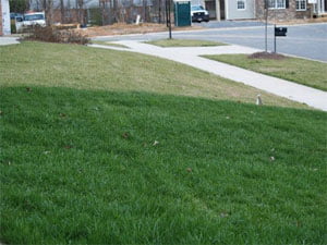 What is a lawn winterizer? - Natures Lawn & Garden