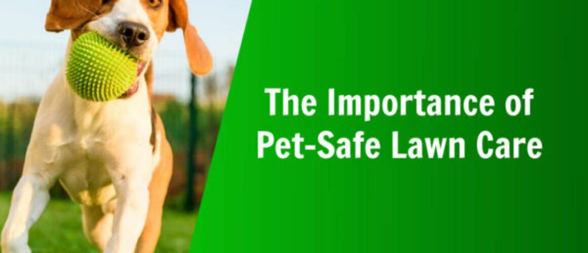 the importance of pet-safe lawn care