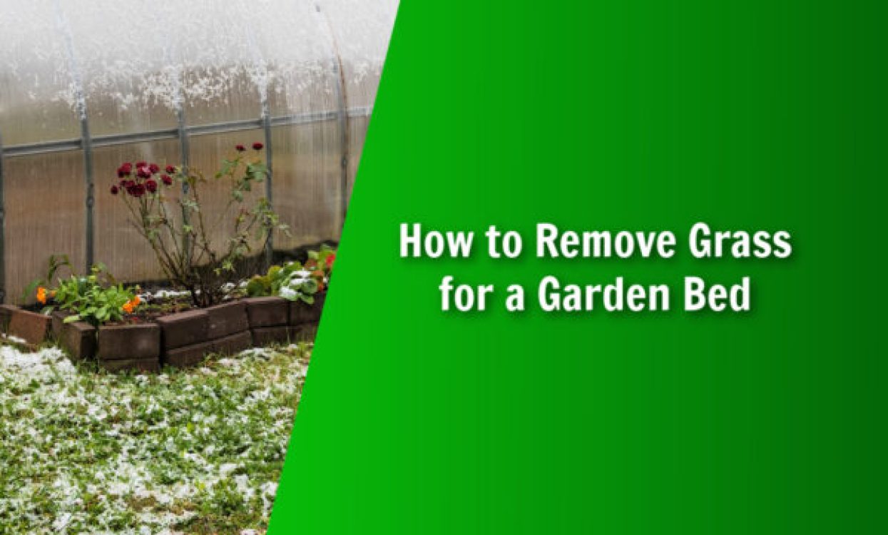 natures lawn and garden how to remove grass for a garden