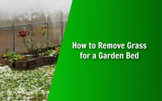 natures lawn and garden how to remove grass for a garden