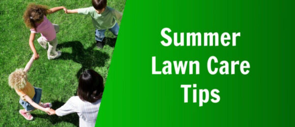 natures lawn and garden summer lawn care tips