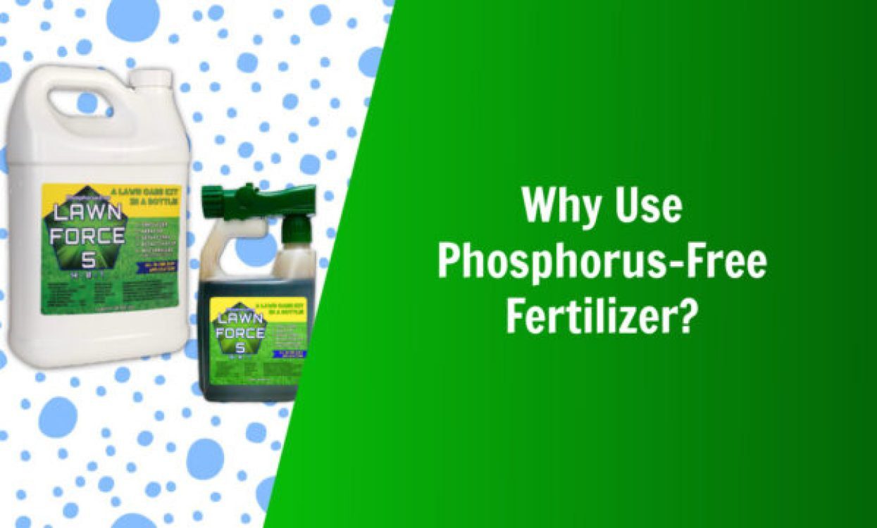 why use phosphorus free fertilizer